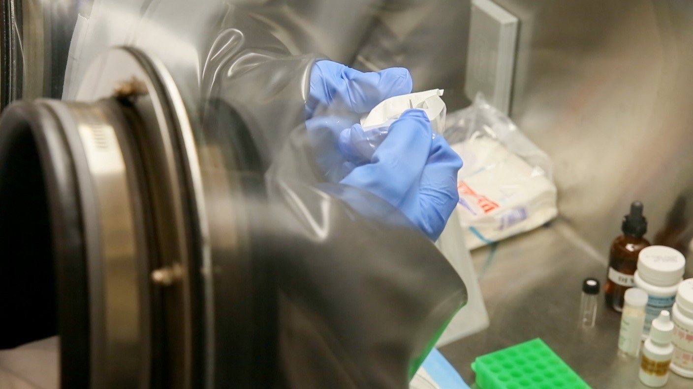 Environmental Laboratory scientist's hands working on a test