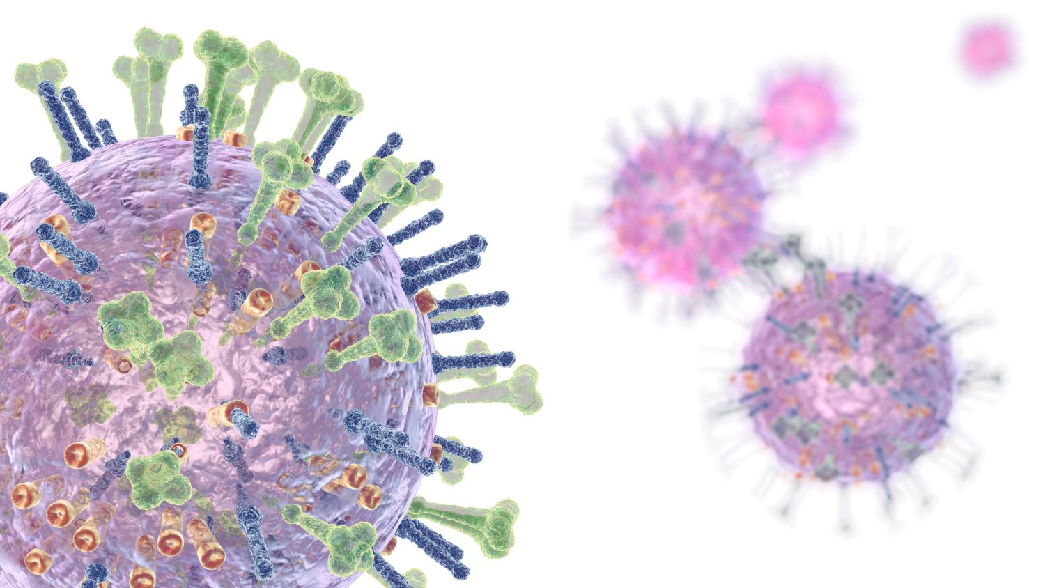 flu virus