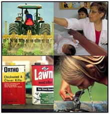 pesticide collage