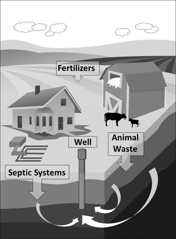 This image shows some sources of nitrate in groundwater. Sources include septic systems, fertilizers, and animal waste. These sources can get into the ground and into well water.