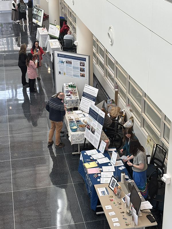 MDH staff showcase projects through posters in the Freeman building atrium