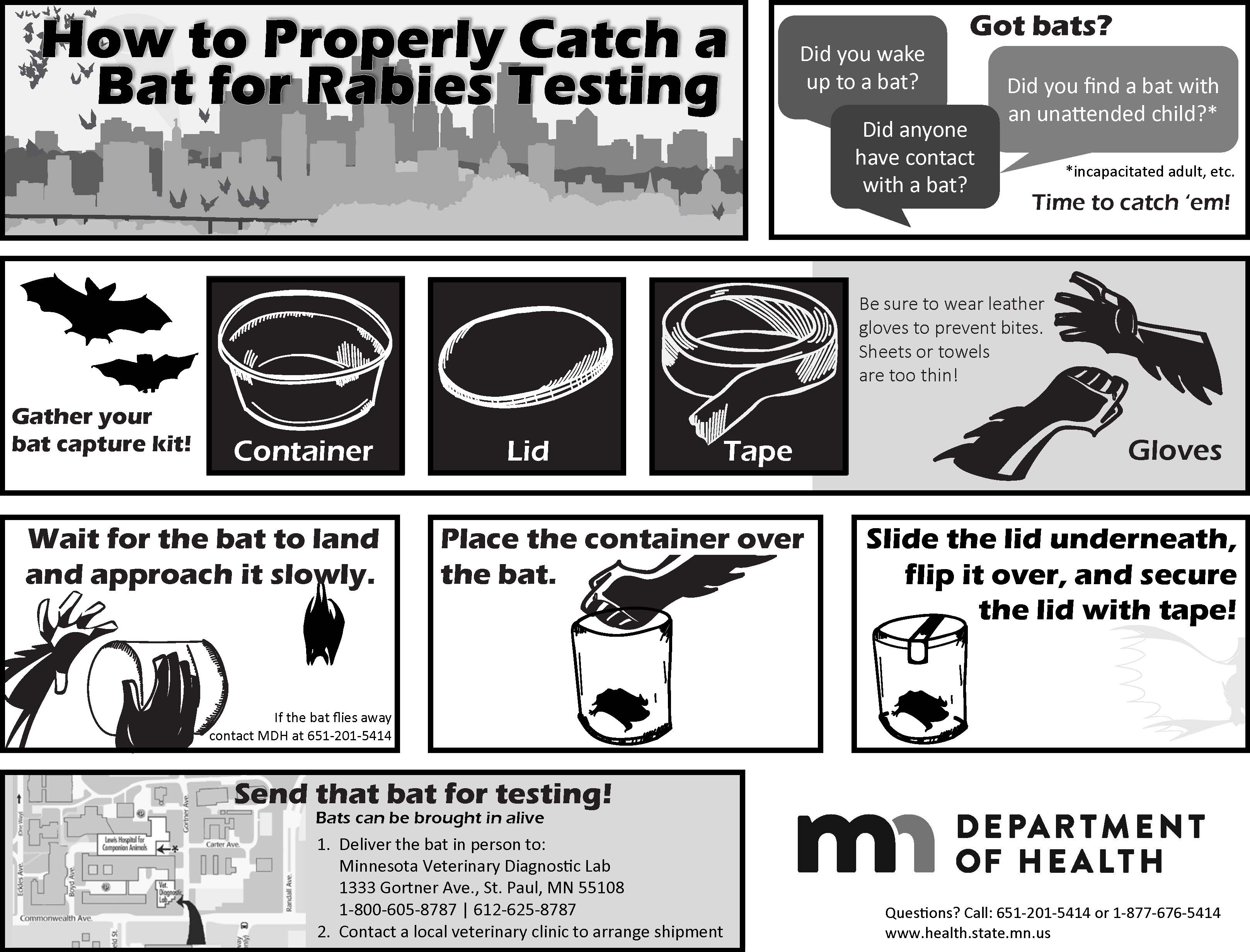 Comic strip showing how to safely capture a bat