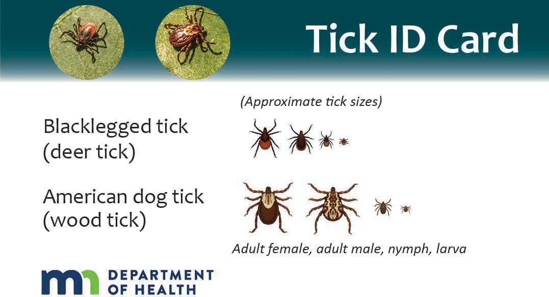 Tick ID Card