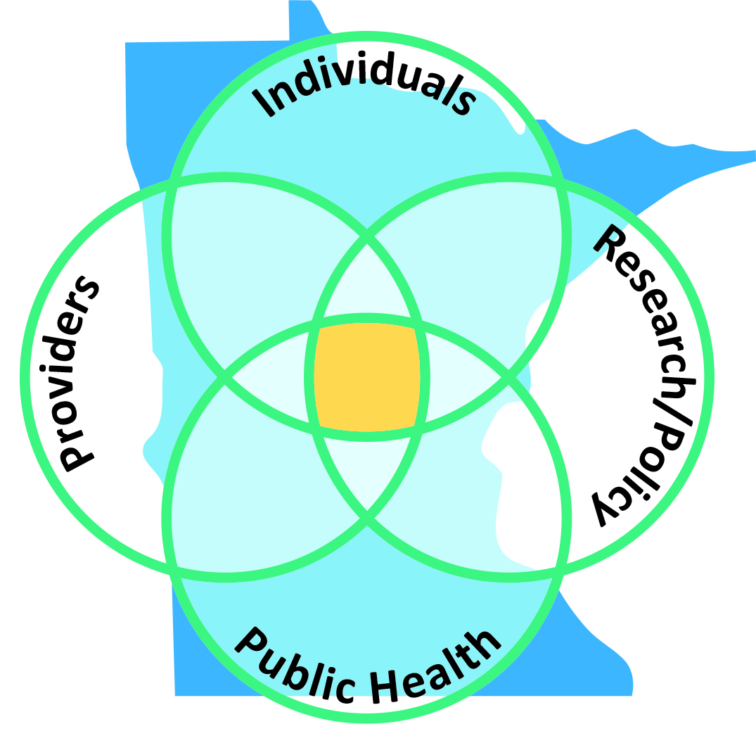 Scope of Minnesota e-Health Initiative Graphic