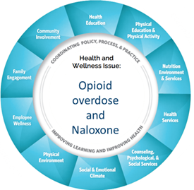 The WCSS model is CDC's framework for addressing health in schools