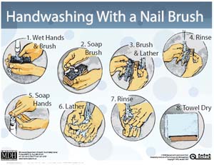 image of nailbrush poster