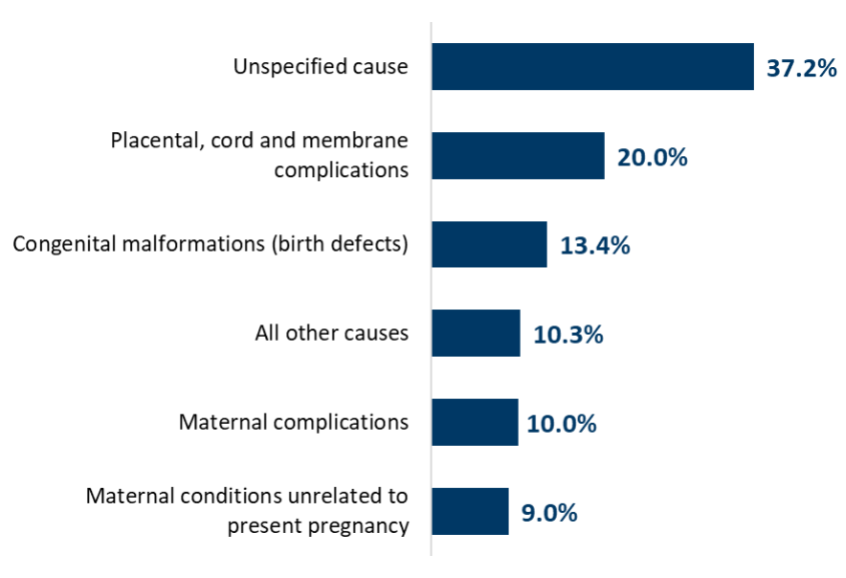 Chart showing proportion of leading cause of death for all fetal deaths in Minnesota for 2019 to 2023.