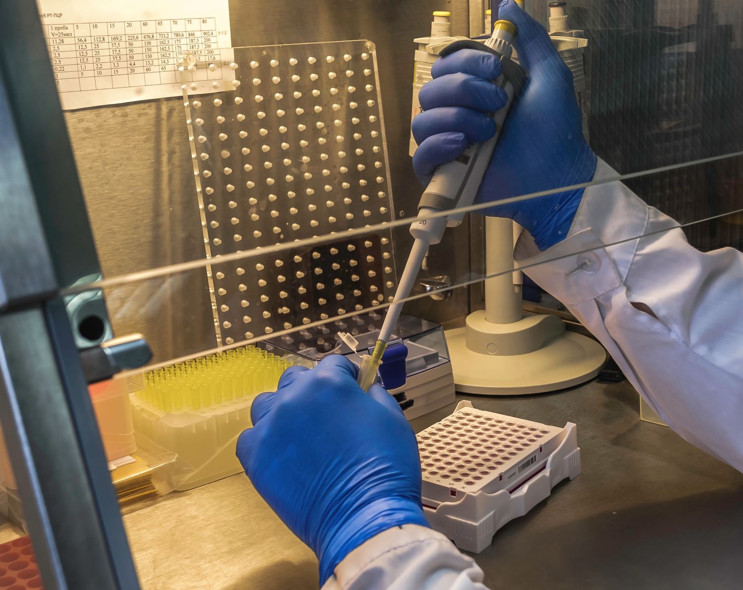 scientist using cabinet