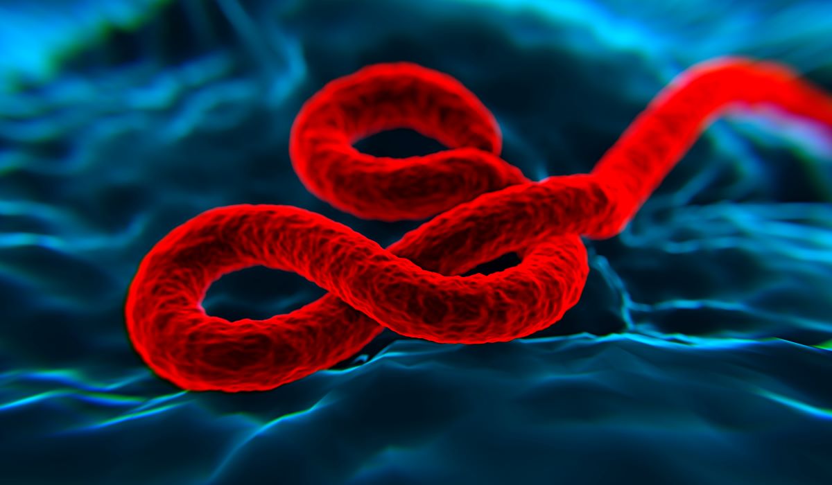 Ebola
